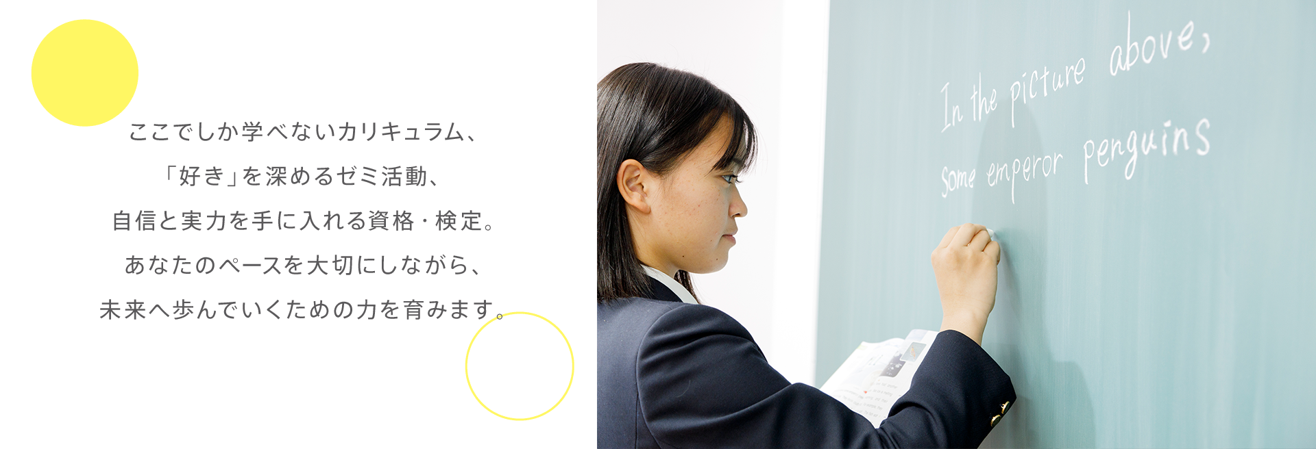 教育について